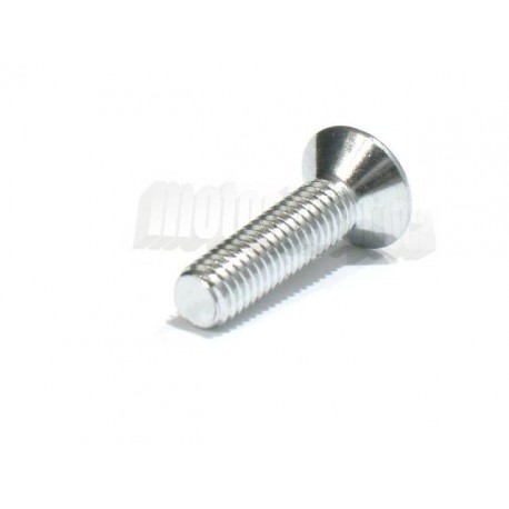 VITE 5X20MM