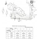 CRANKSHAFT-PISTON